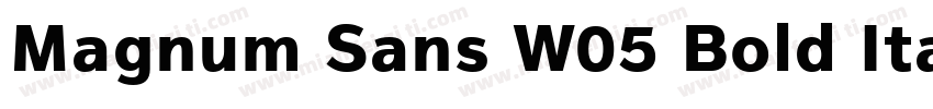 Magnum Sans W05 Bold Italic字体转换